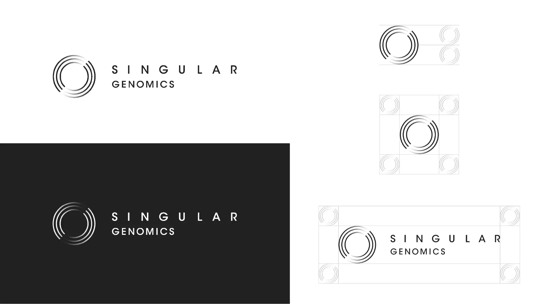 Singular Logo Guidelines Product Design