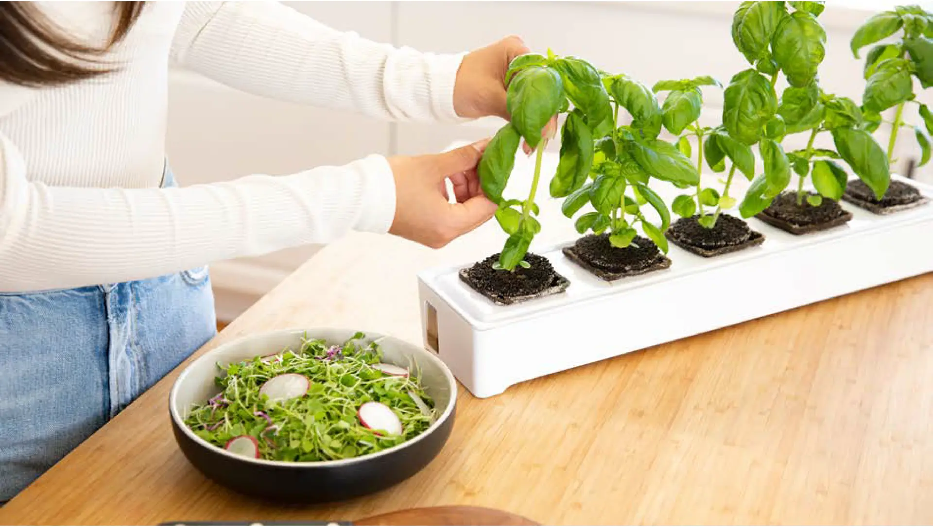 Miravel Picking produce for salad product design