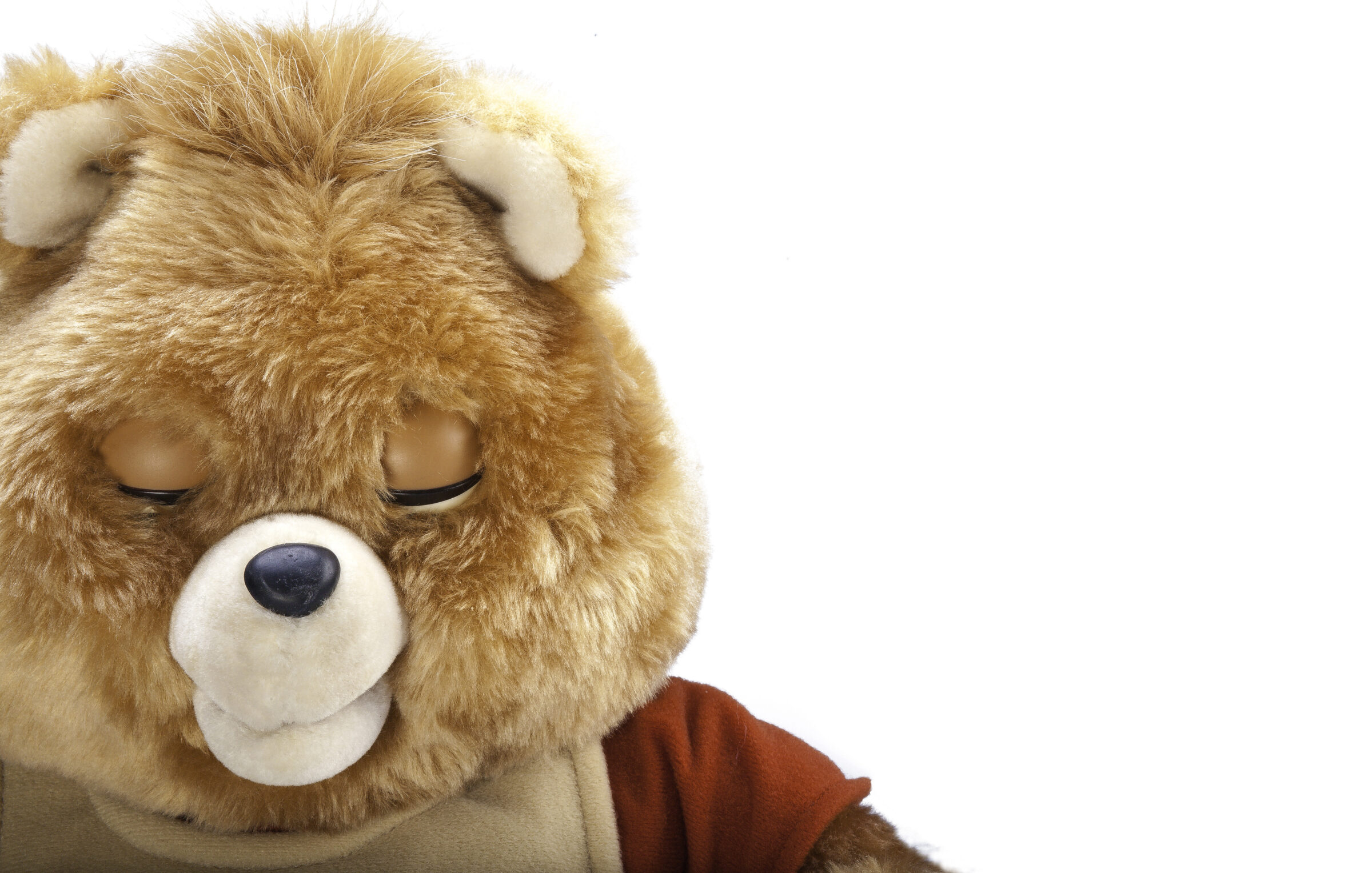 Teddy Ruxpin Details
