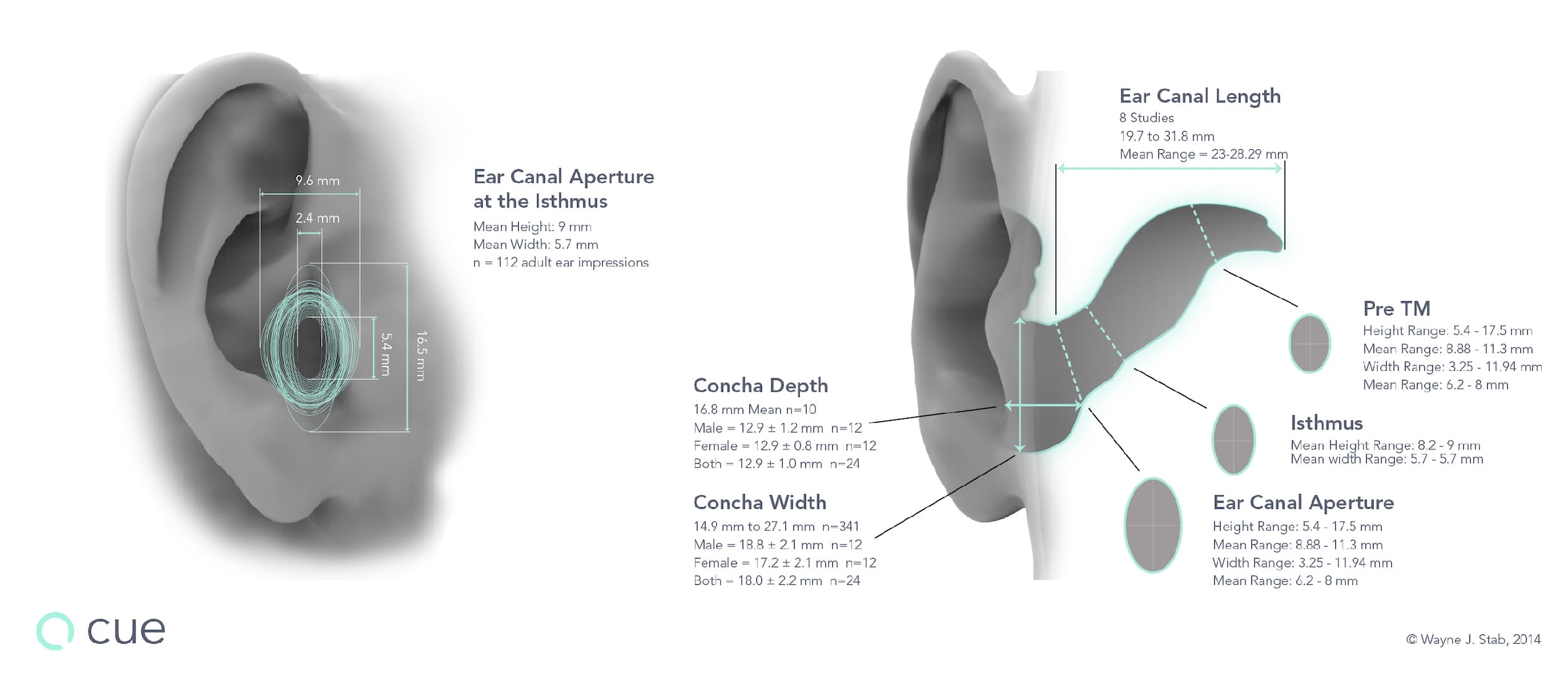 Cue wireless headphones in the ear canal