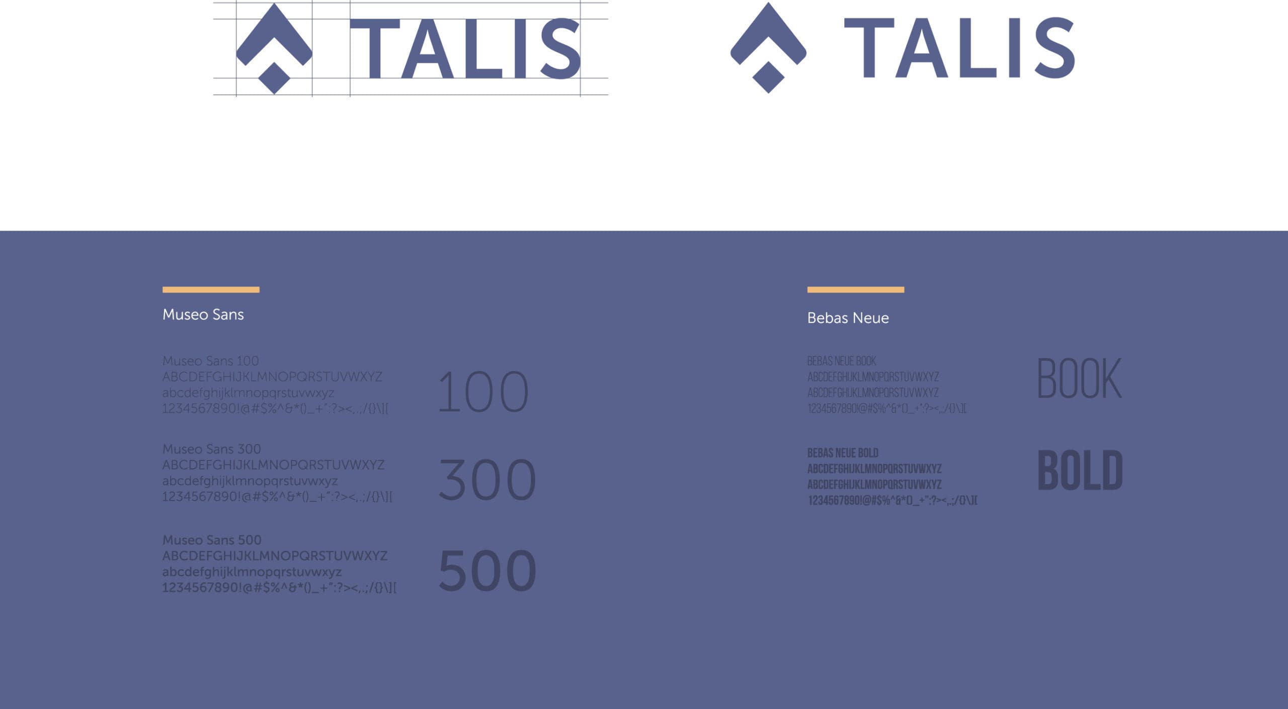 Talis medical style guide