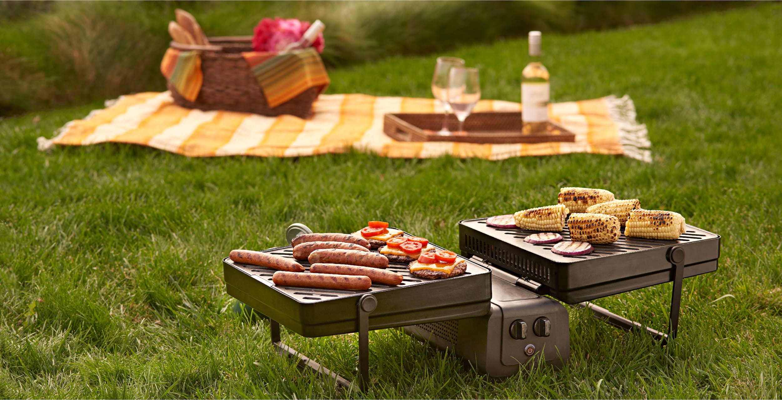 Elevate Grill bring used as part of a picnic