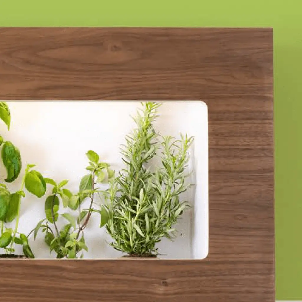 Visual Essay Product Spotlight Image: Miravel