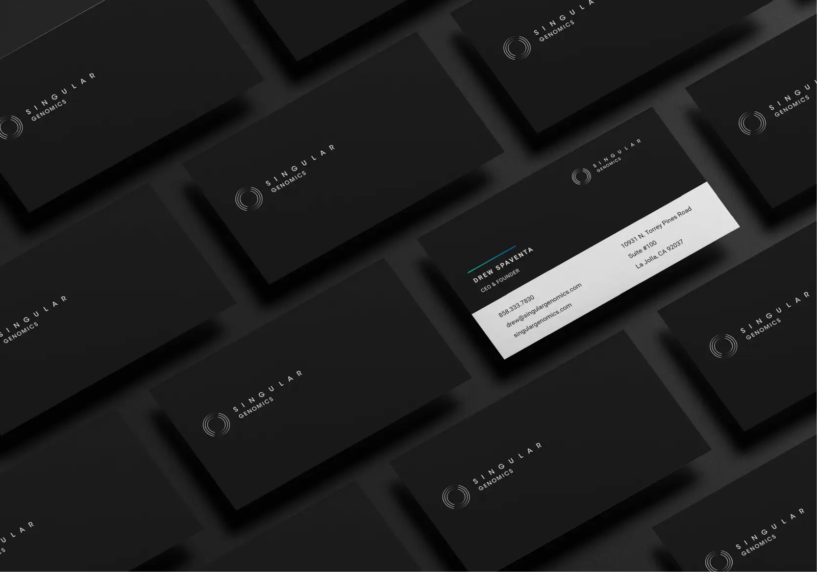 Singular Branding Guidelines Product Design