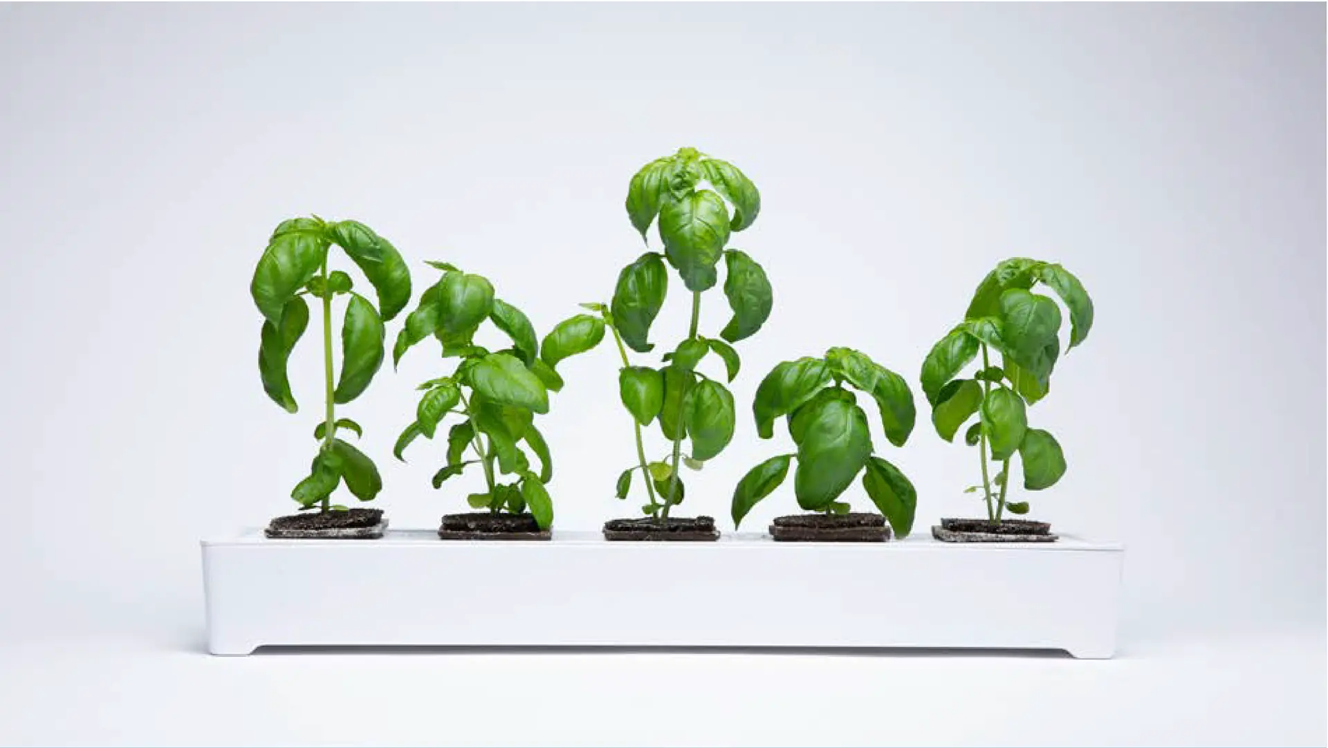 Miravel planters with produce product design