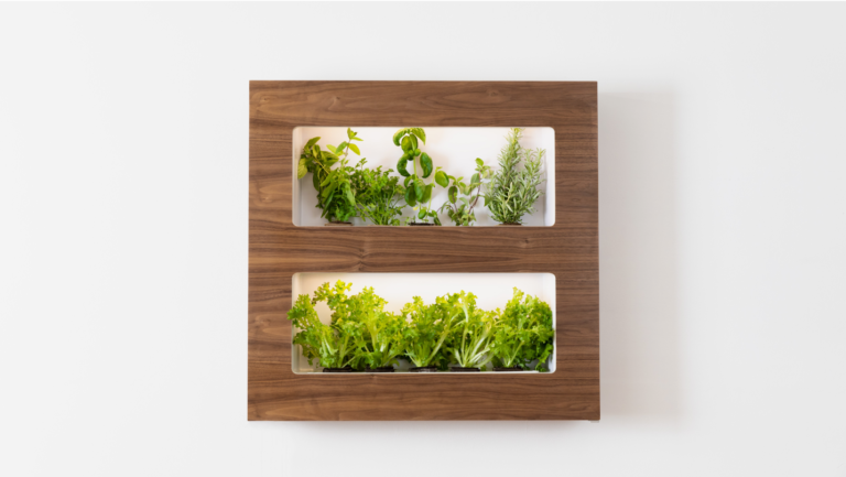 Miravel, designed by RKS Design, wall garden in your own home