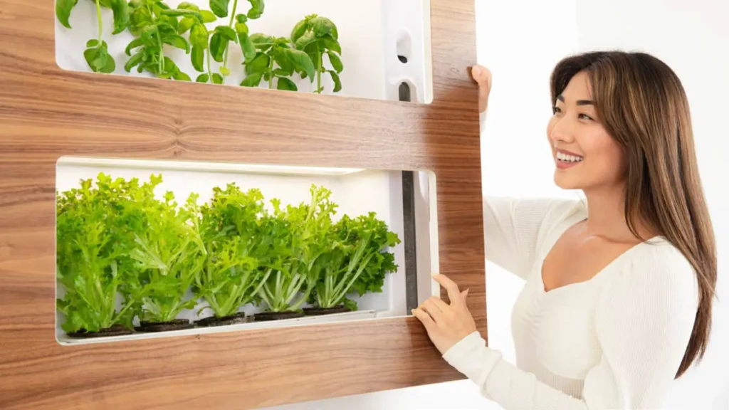 A woman in a white sweater smiles as she tends to green leafy plants growing in a modern, wooden indoor vertical garden mounted on a wall.