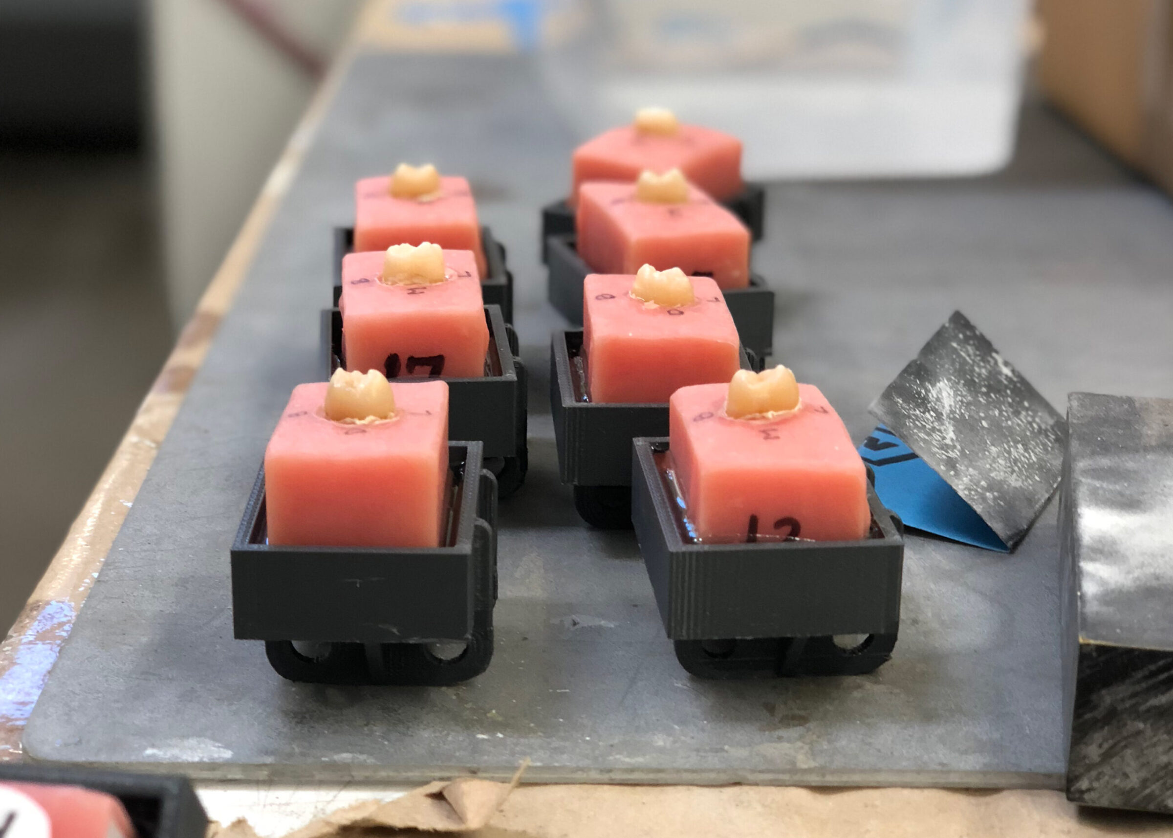 Several pink dental wax blocks with artificial teeth embedded on top are arranged on a gray surface, each held in a black plastic holder. Some blocks are labeled with numbers, showcasing Perimetrics technology for dental assessment.
