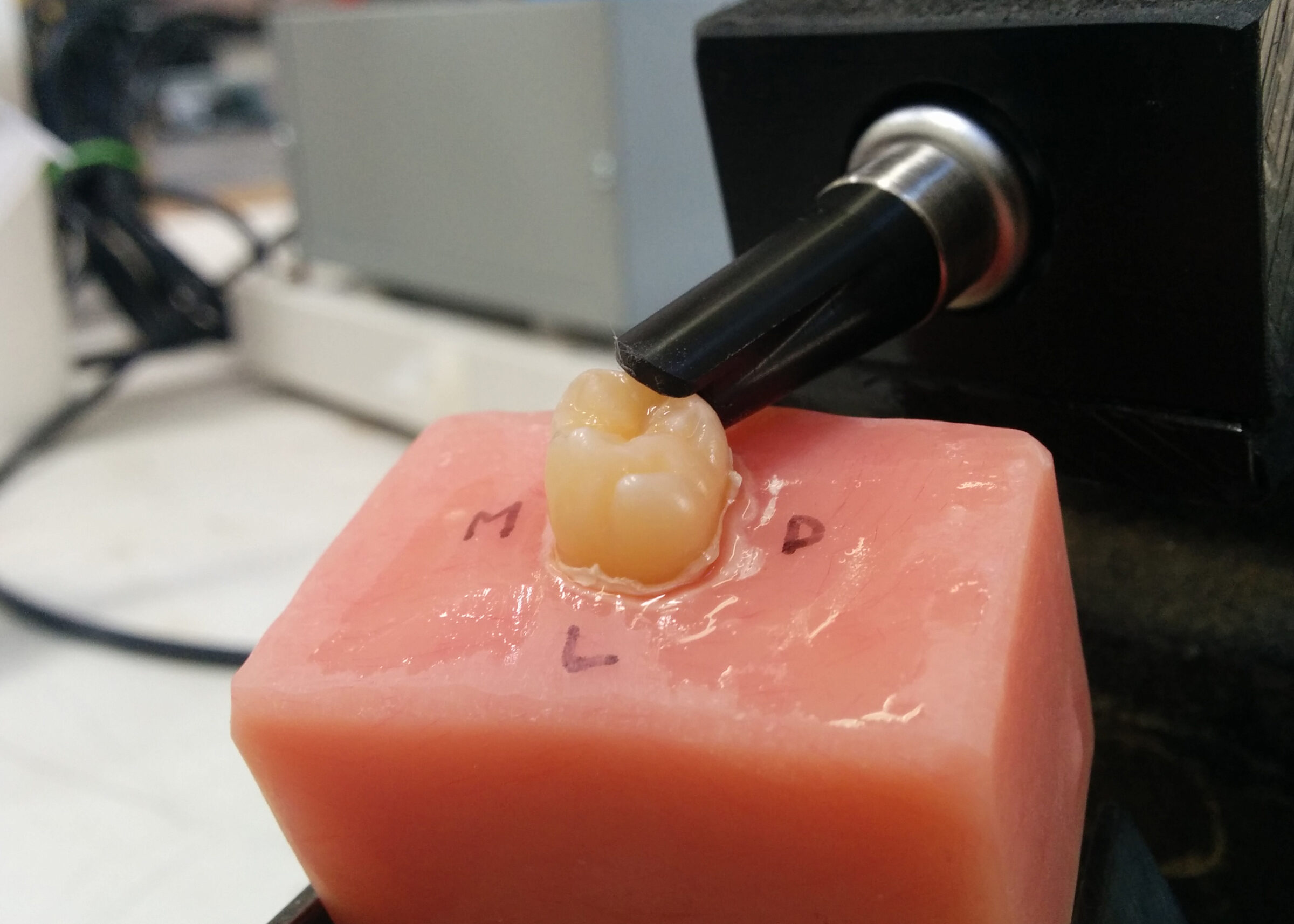 A dental tool works on a realistic tooth model set in pink material labeled M, D, and L, simulating a dental procedure using Perimetrics technology in a laboratory setting.